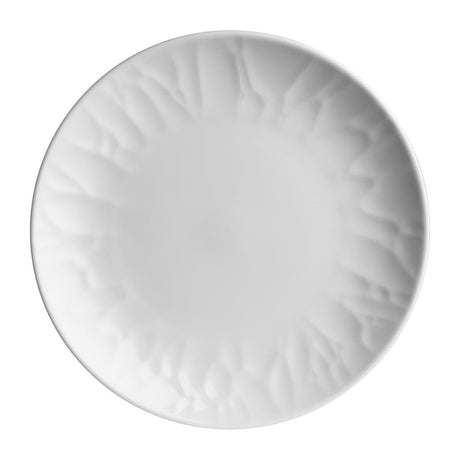 Steelite Atelier Coupe Plates 270mm (12 Pack)