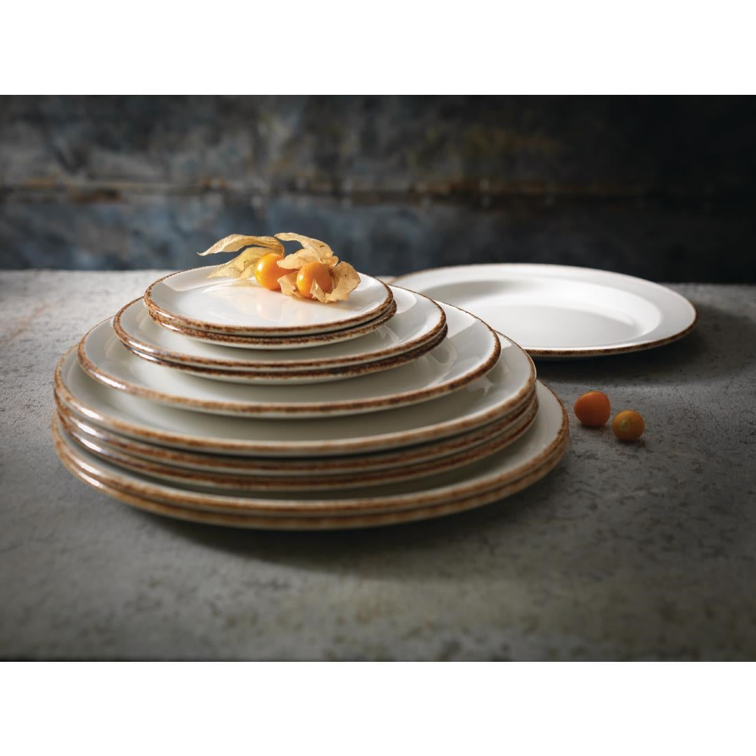 Steelite Brown Dapple Coupe Plates 280mm (12 Pack)