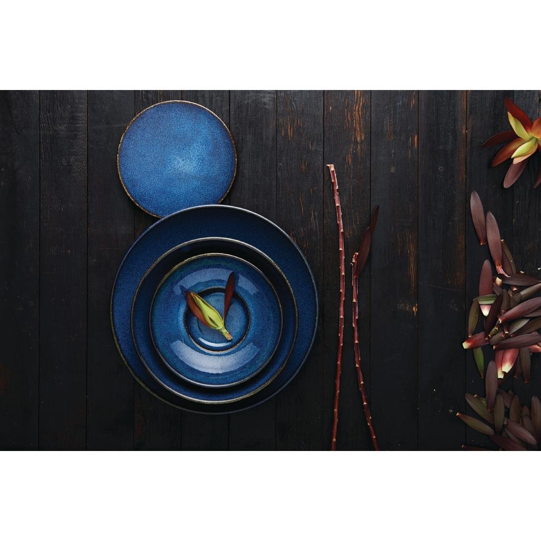 Rene Ozorio Wabi Sabi Coupe Plates Indigo 285mm (6 Pack)