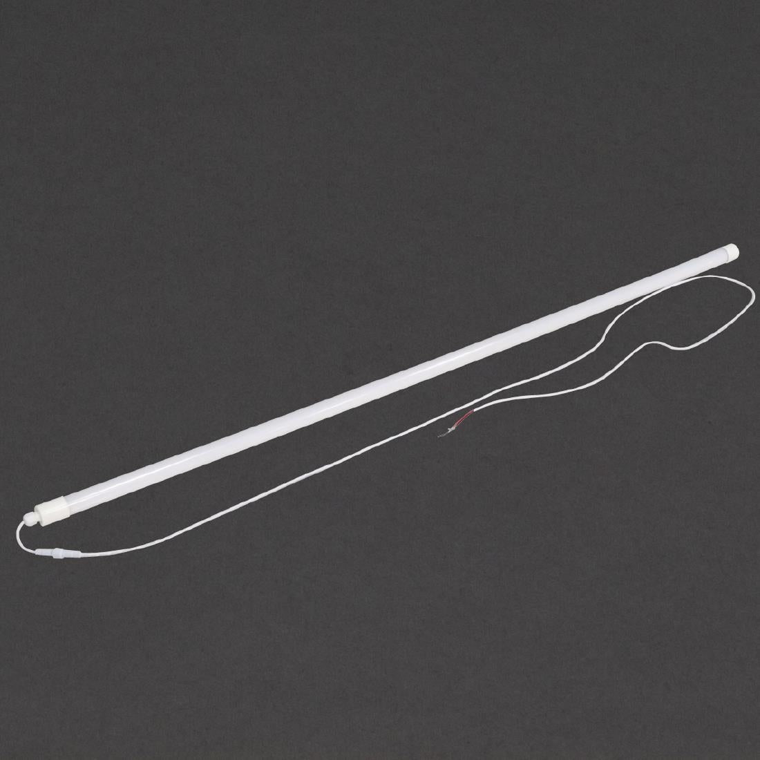 Polar T8 Lamp