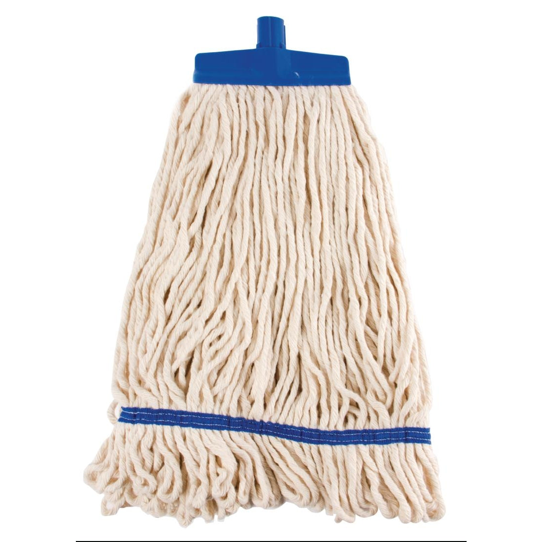 blue mop head