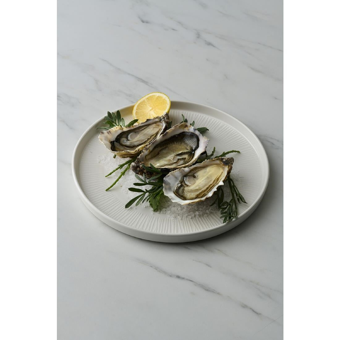 Churchill Bamboo White Walled Plates 210mm (6 Pack)