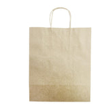 Fiesta Recyclable Twist Handle Brown Paper Bags Large (250 Pack)