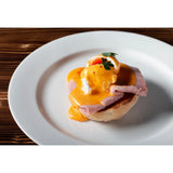 Elia Glacier Fine China Plates 240mm (4 Pack)