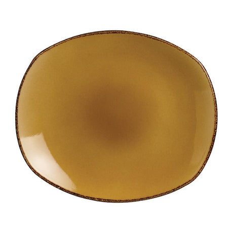 Steelite Terramesa Mustard Spice Plates 255mm (24 Pack)