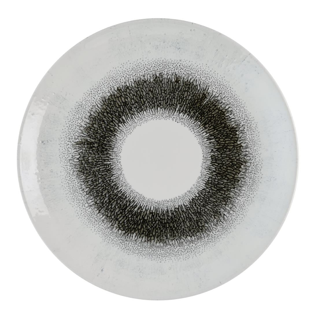 Churchill Studio Prints Fusion Black Evolve Coupe Plates 285mm (12 Pack)