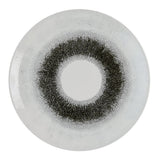 Churchill Studio Prints Fusion Black Evolve Coupe Plates 285mm (12 Pack)