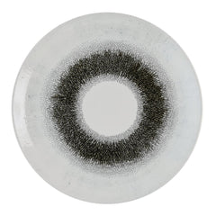 Churchill Studio Prints Fusion Black Evolve Coupe Plates 285mm (12 Pack)