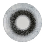 Churchill Studio Prints Fusion Black Evolve Coupe Plates 260mm (12 Pack)