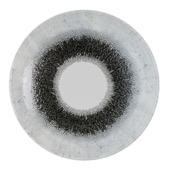 Churchill Studio Prints Fusion Black Evolve Coupe Bowls 247mm (12 Pack)