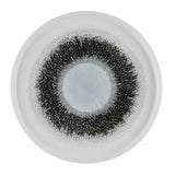 Churchill Studio Prints Fusion Black Walled Plates 260mm (6 Pack)