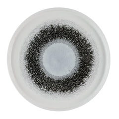 Churchill Studio Prints Fusion Black Walled Plates 260mm (6 Pack)