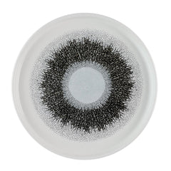 Churchill Studio Prints Fusion Black Walled Plates 210mm (6 Pack)