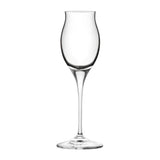 RCR Cristalleria Invino Sherry Goblet 100ml (Pack of 12)