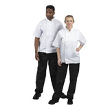 short sleeve chefs jacket