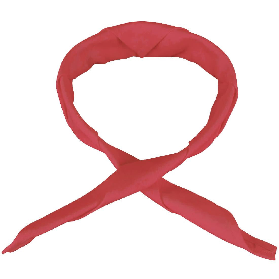 Whites Neckerchief Red