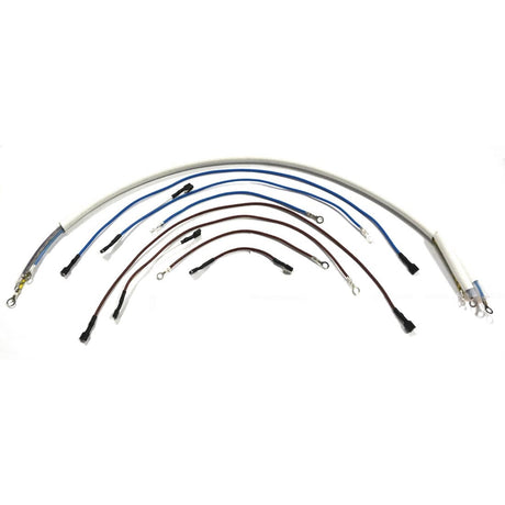 Buffalo Wiring Loom