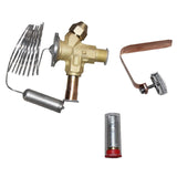 Polar Thermostatic Expansion Valve