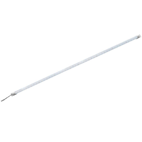 Polar Lamp