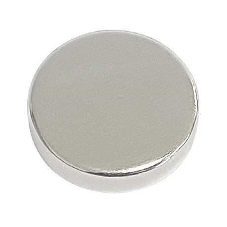 Buffalo Magnet