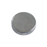Polar Magnet