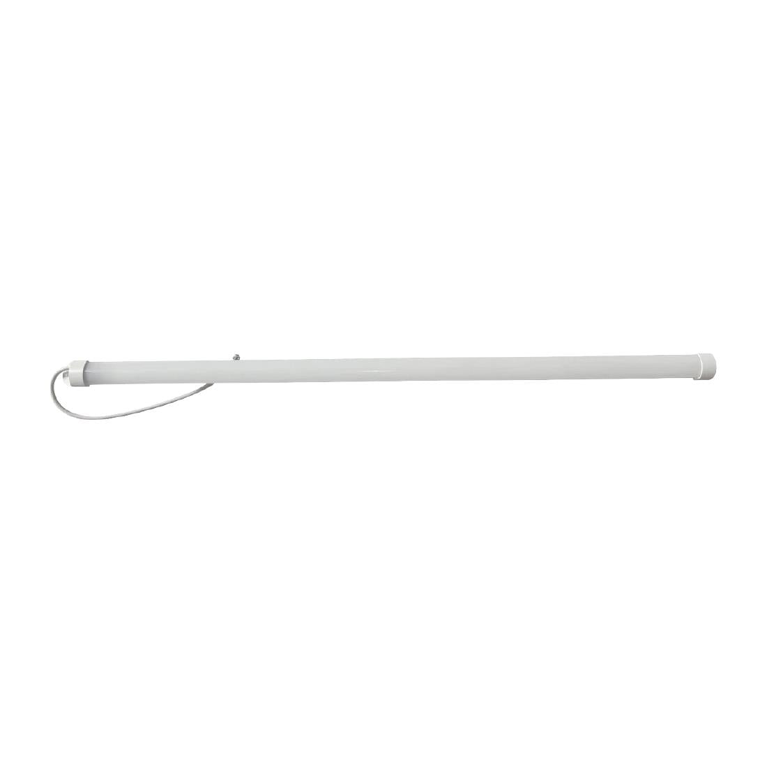 Polar LED Light