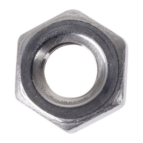 Buffalo Stainless Steel Nut