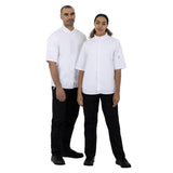 Southside Band Collar Chef Jacket White XL