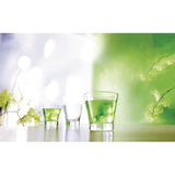 Arc Shetland Old Fashioned 250ml ( 24 Pack)