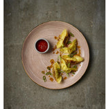 Churchill Stonecast Raw Terracotta Evolve Coupe Plates 220mm (12 Pack)