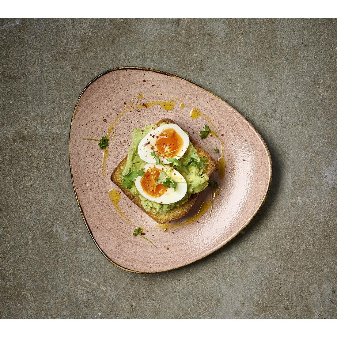 Churchill Stonecast Raw Terracotta Lotus Plates 254mm (12 Pack)