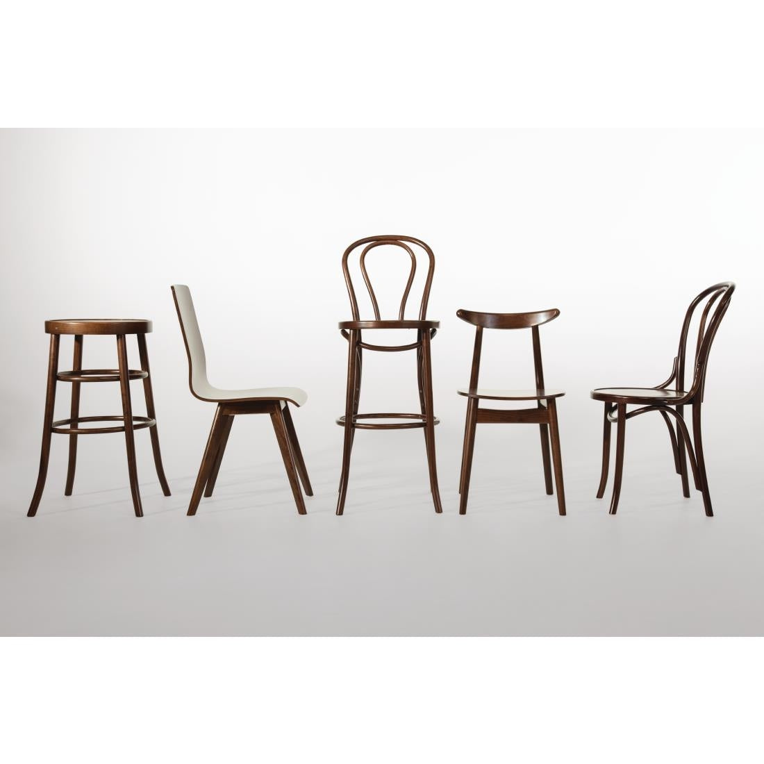 Fameg Wooden Flow Bentwood Walnut Side Chairs (2 pack)