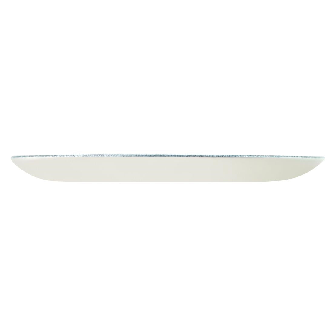 Churchill Studio Prints Raku Round Coupe Plate Topaz Blue 260mm (12 Pack)