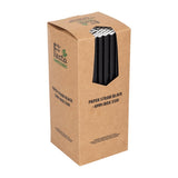 Fiesta Compostable Paper Straws Black (250 Pack)