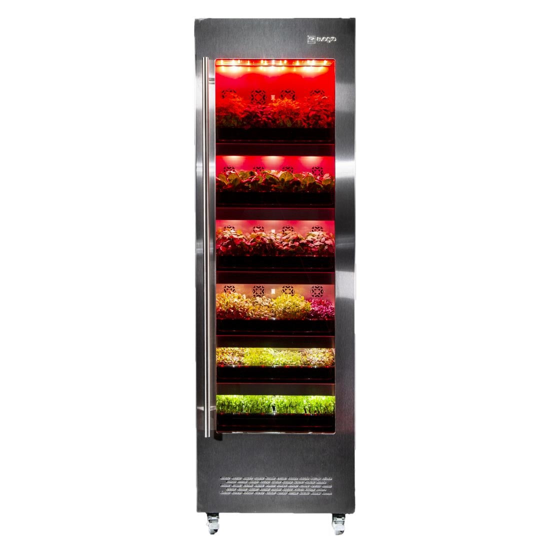 Evogro Plant Growing System 40132-WS L