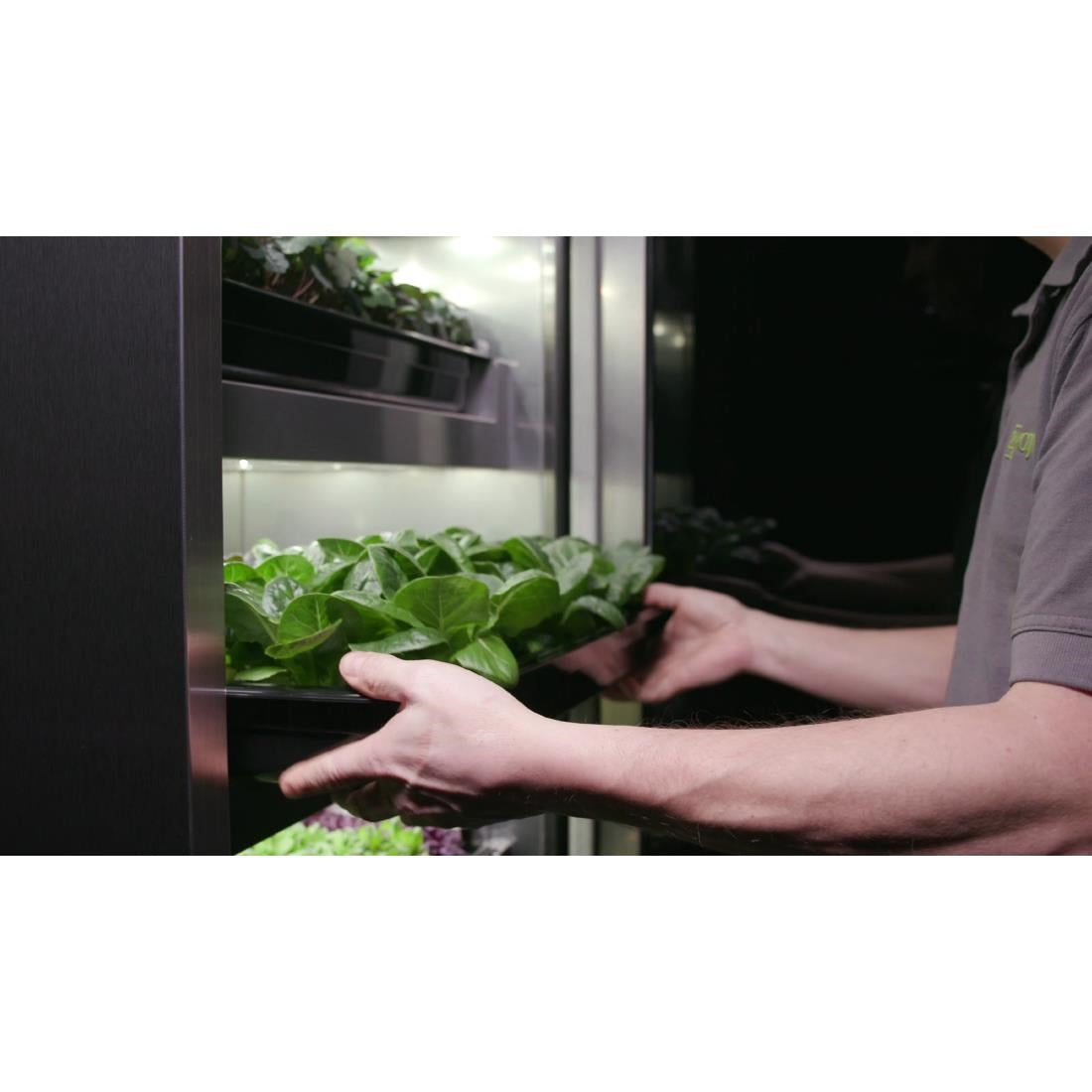 Evogro Plant Growing System 40132-WS L