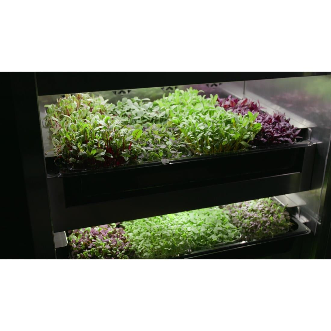 Evogro Plant Growing System 40132-WS L