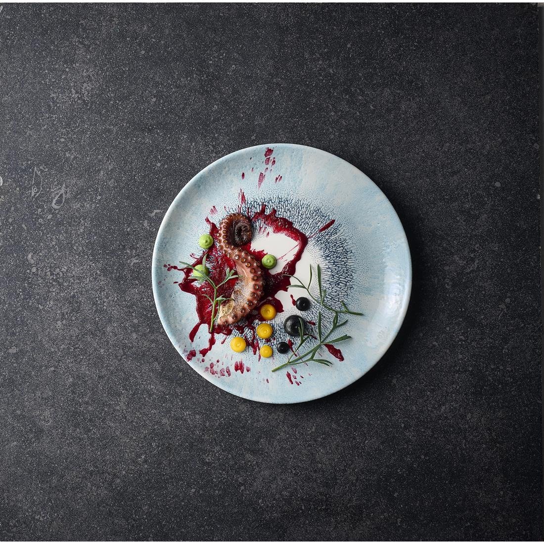 Churchill Studio Prints Fusion Blue Coupe Plates 260mm (12 Pack)