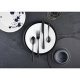 Amefa Dessert Spoon Black (12 Pack)