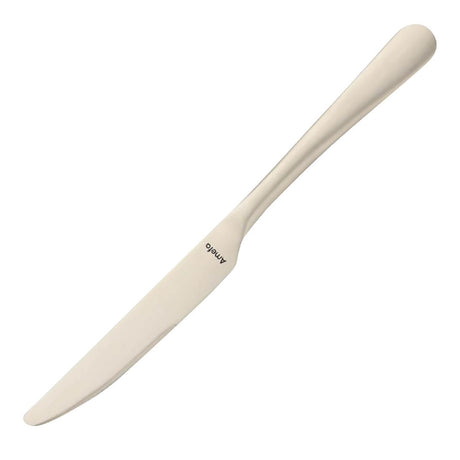 Amefa Table Knife Champagne (12 Pack)