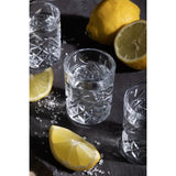 Pasabahce Timeless Vintage Shot Glasses 60ml (24 Pack)