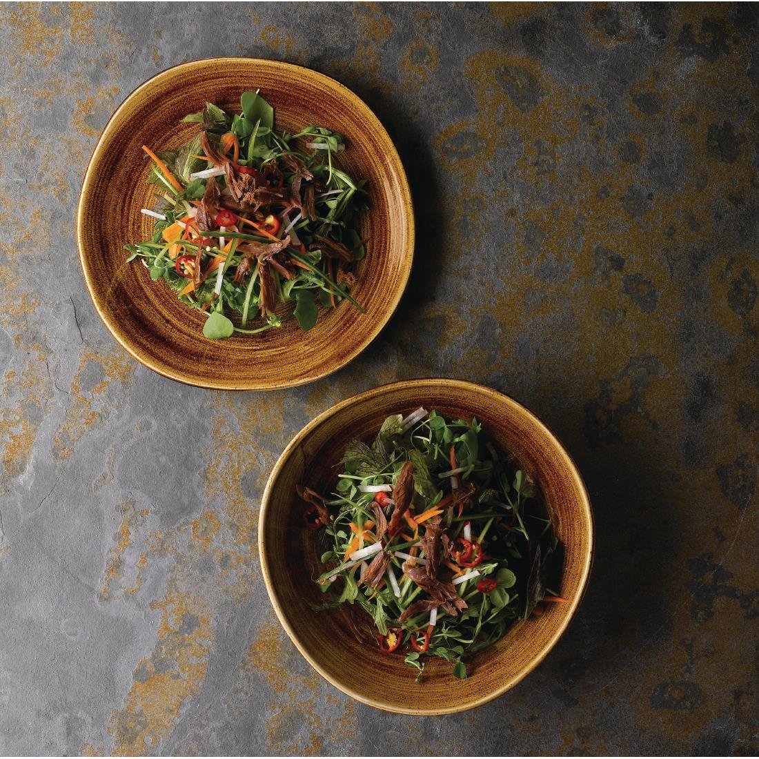 Churchill Stonecast Patina Organic Round Plates Vintage Copper 186mm (12 Pack)