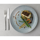 Churchill Studio Prints Raku Round Coupe Bowls Topaz Blue 248mm (12 Pack)