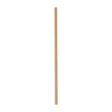 Fiesta Compostable Paper Straws Kraft (250 Pack)
