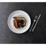 Churchill Raku Jasper Grey Evolve Coupe Plates 8.67" (12 Pack) (Direct)