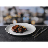 Churchill Raku Jasper Grey Evolve Coupe Plates 8.67" (12 Pack) (Direct)