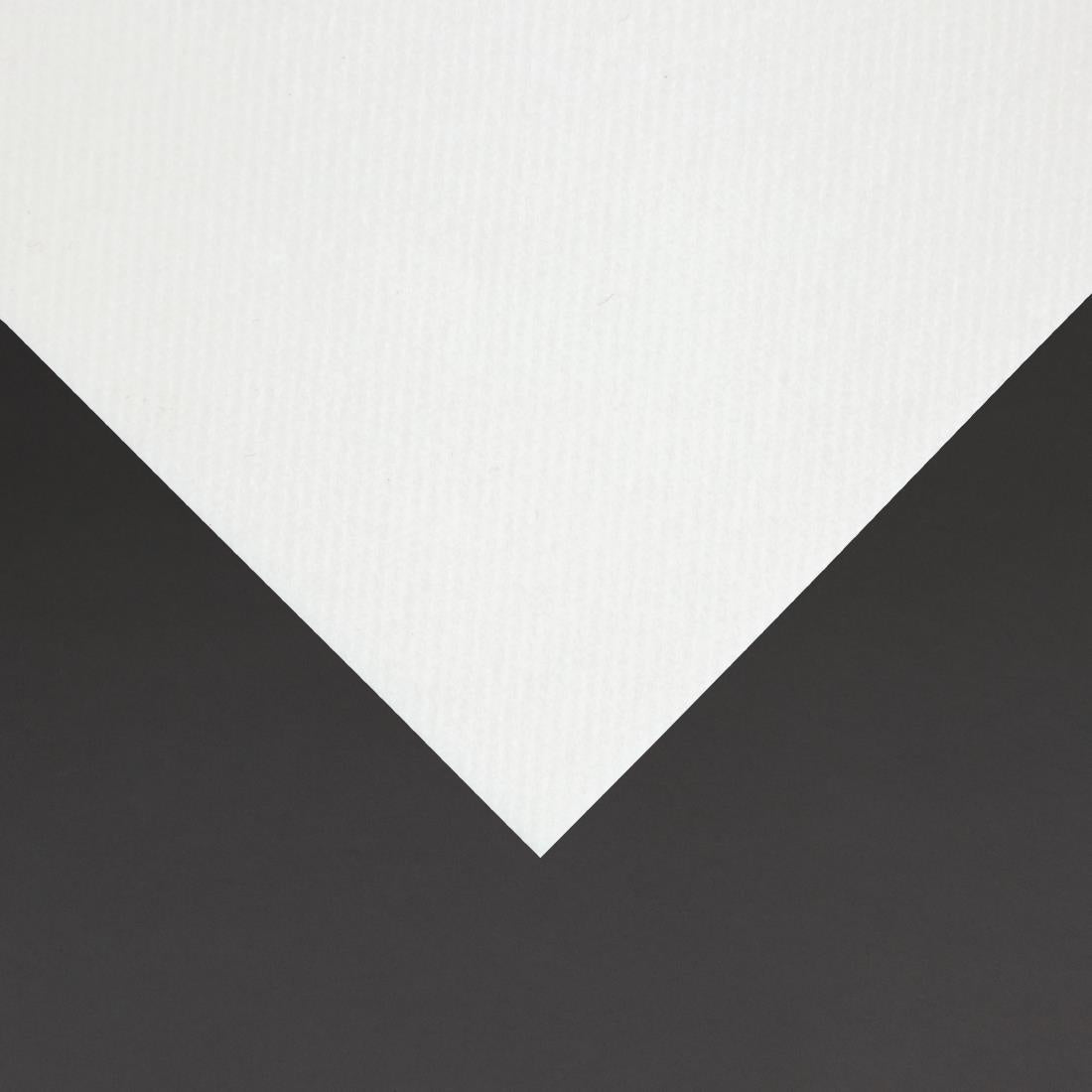 Fiesta Recyclable Premium Tablin Cocktail Napkin White 24x24cm Airlaid 1/4 Fold (2400 Pack)