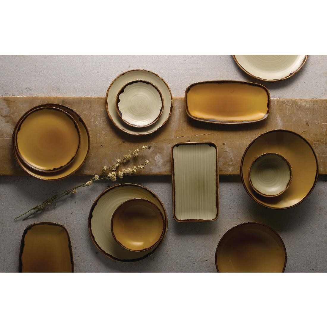 Dudson Harvest Coupe Plates Mustard 217mm (12 Pack)