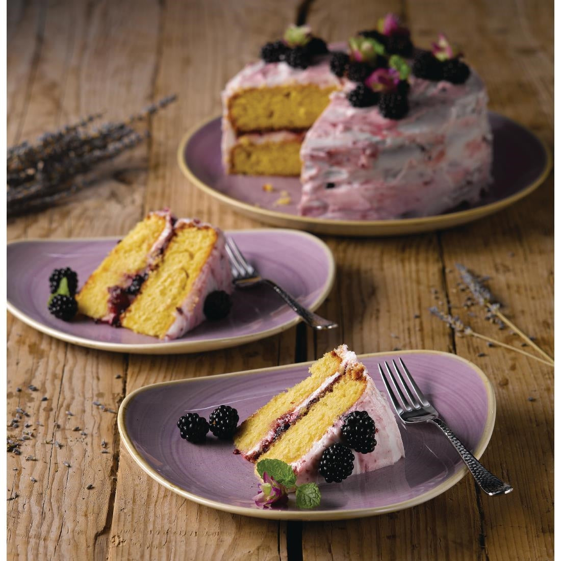 Churchill Stonecast Lavender Lotus Plates 228mm (12 Pack)