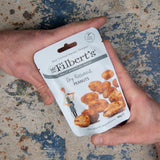 Mr Filbert's Dry Roasted Peanuts 40g (20 Pack)
